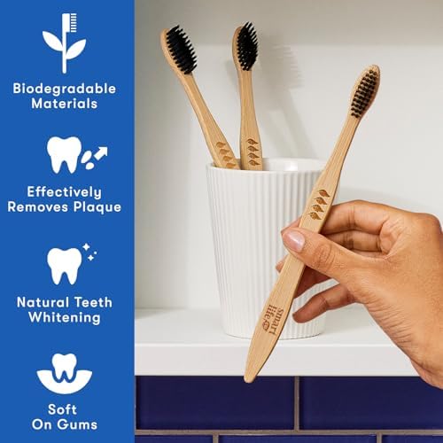 SmartLifeco Bamboo Charcoal Toothbrushes 4-Pack with Case Stand