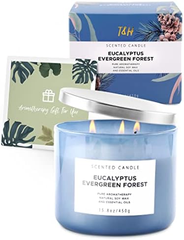 Eucalyptus Evergreen Forest 3 Wick Soy Candle 158 oz Aromatherapy
