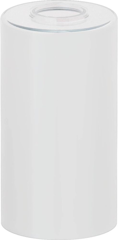 Moen DN0769 Frosted Bath Lighting Replacement Globe