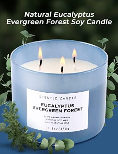 Eucalyptus Evergreen Forest 3 Wick Soy Candle 158 oz Aromatherapy