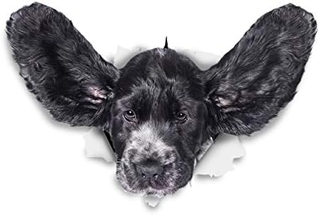 Winston Bear 3D Dog Stickers - 2 Pack - Funny Cocker Spaniel