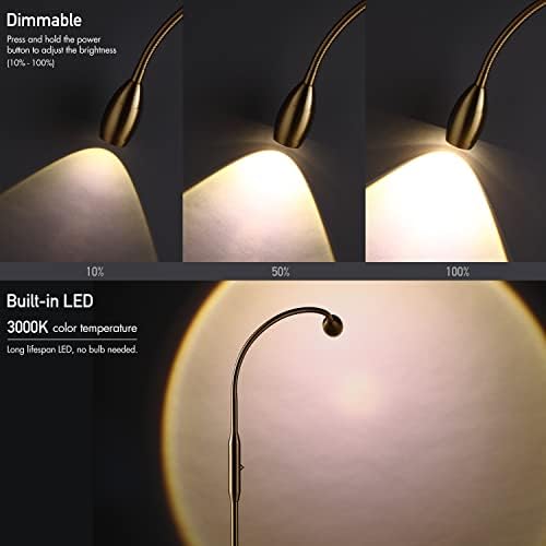 OBright Ray Floor Lamp - Dimmable Zoomable Flexible