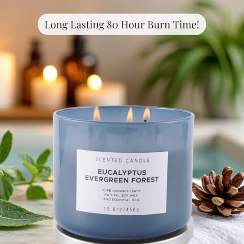 Eucalyptus Evergreen Forest 3 Wick Soy Candle 158 oz Aromatherapy