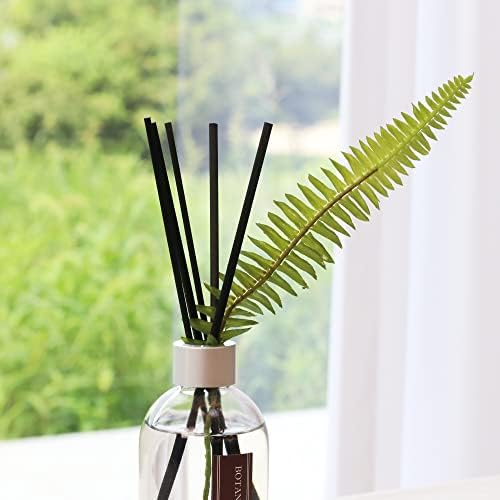 Aronica Tropical Plant Air Diffuser for Home