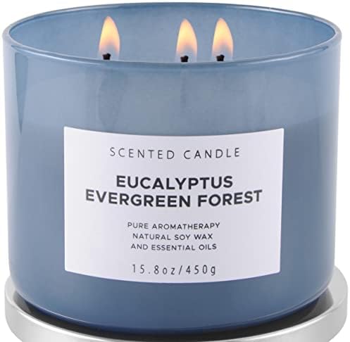 Eucalyptus Evergreen Forest 3 Wick Soy Candle 158 oz Aromatherapy