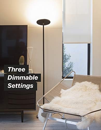 Brightech Sky LED Floor Lamp with Dimmer - Bronze 1