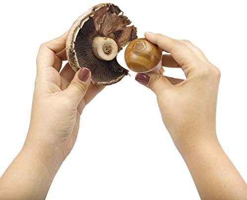 Full Circle FunGuy Mushroom Cleaning Brush 2 in 1