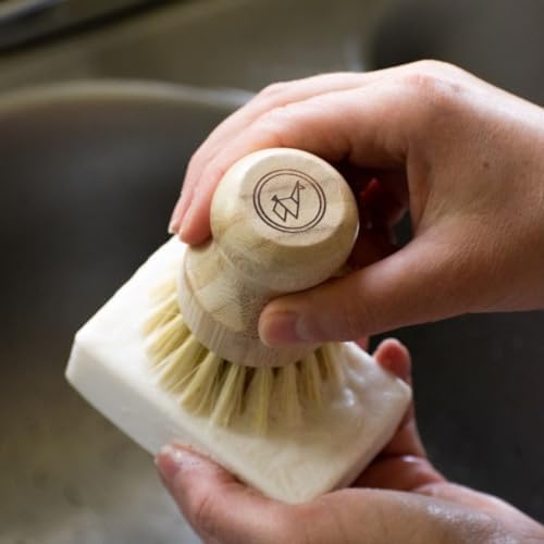 Green Llama Eco-Friendly Dish Soap Set