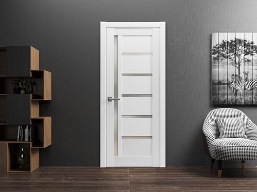 SARTODOORS Pantry Door 28x80 with Hardware
