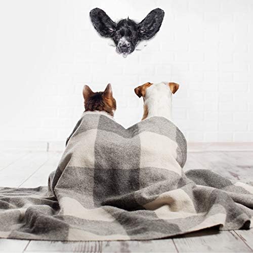 Winston Bear 3D Dog Stickers - 2 Pack - Funny Cocker Spaniel