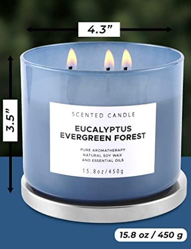 Eucalyptus Evergreen Forest 3 Wick Soy Candle 158 oz Aromatherapy