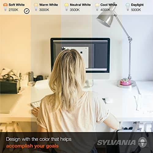 LEDVANCE SYLVANIA ECO A19 LED Bulb 6 Pack 145W 2700K
