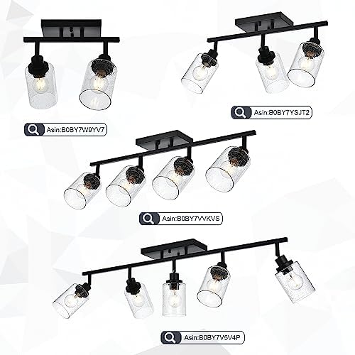 WINSHEN Seeded Glass Lamp Shades for Track Lighting