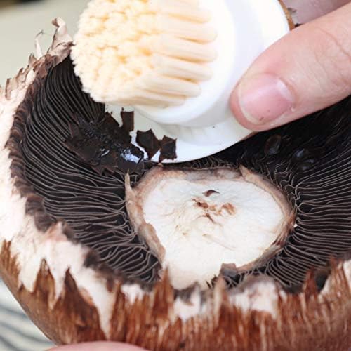 Full Circle FunGuy Mushroom Cleaning Brush 2 in 1