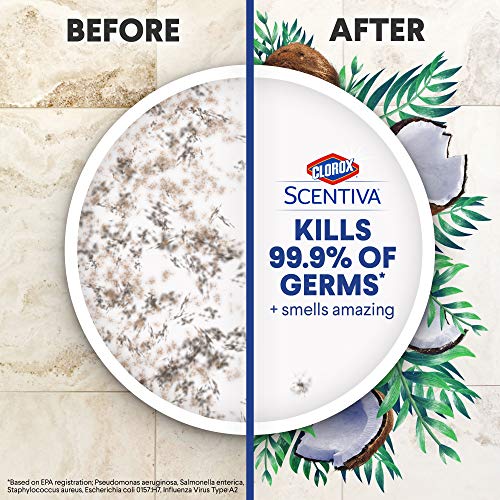 Clorox Scentiva Disinfecting Wet Mopping Pad Refills 12 Count