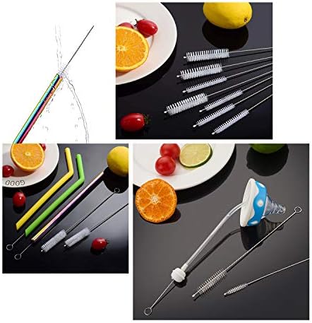 Long Straw Brush Set of 10 with 10 Different Diameters