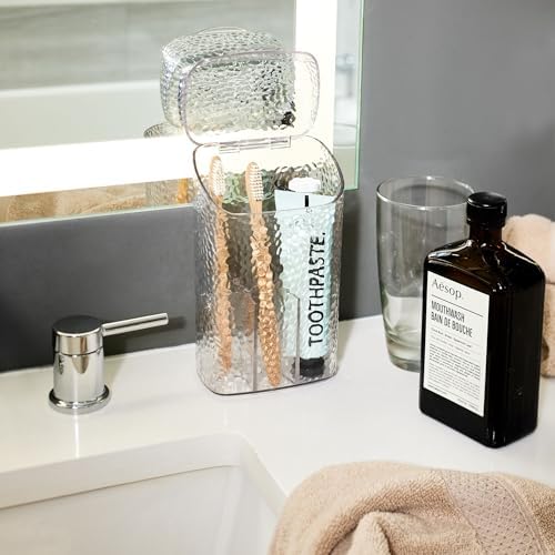 InterDesign iDesign 53450 Rain Toothbrush Holder with Lid