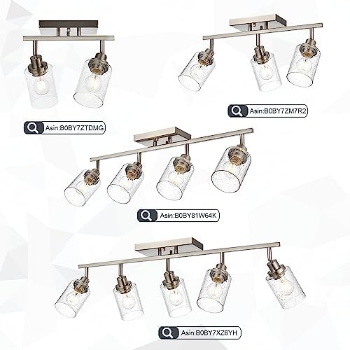 WINSHEN Seeded Glass Lamp Shades for Track Lighting
