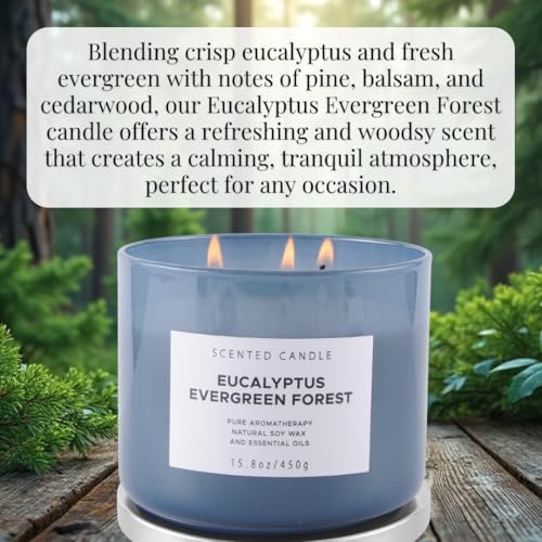 Eucalyptus Evergreen Forest 3 Wick Soy Candle 158 oz Aromatherapy