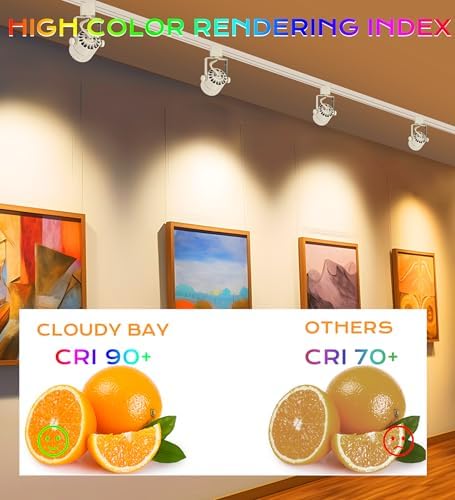 CLOUDY BAY 8W Warm White Dimmable Track Light Head - Pack of 6