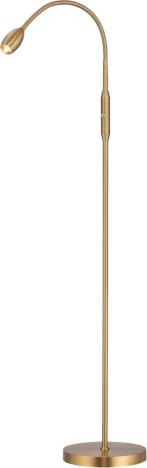 OBright Ray Floor Lamp - Dimmable Zoomable Flexible