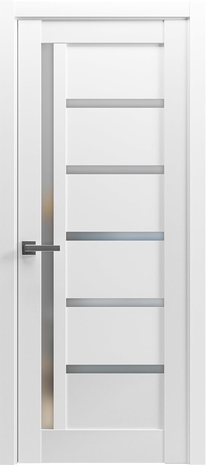 SARTODOORS Pantry Door 28x80 with Hardware