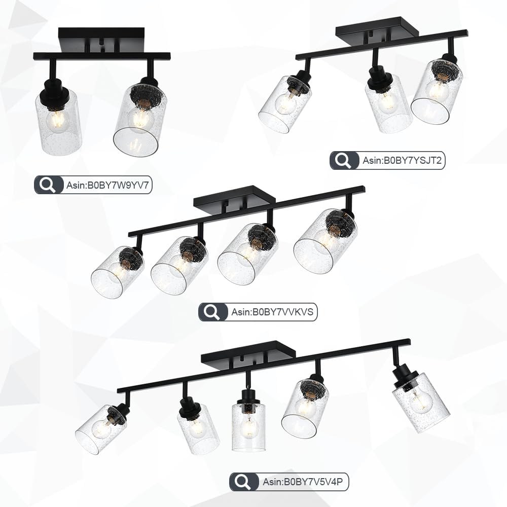 WINSHEN Seeded Glass Lamp Shades for Track Lighting