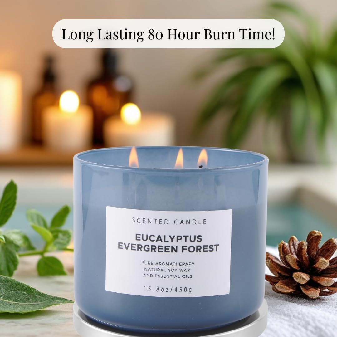 Eucalyptus Evergreen Forest 3 Wick Soy Candle 158 oz Aromatherapy