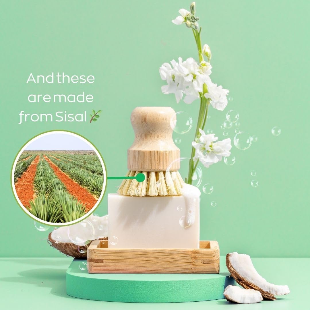 Green Llama Eco-Friendly Dish Soap Set