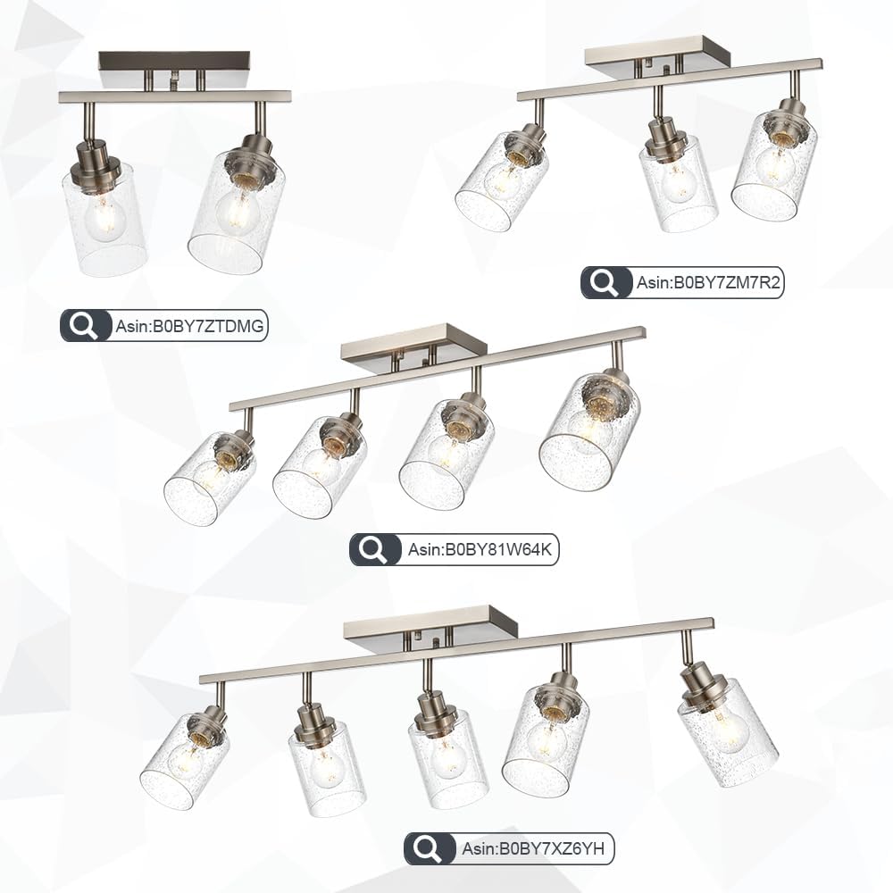 WINSHEN Seeded Glass Lamp Shades for Track Lighting