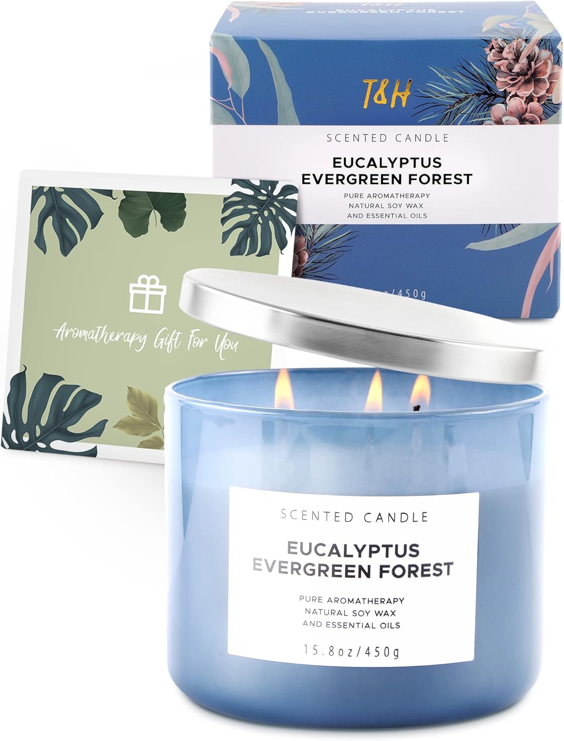 Eucalyptus Evergreen Forest 3 Wick Soy Candle 158 oz Aromatherapy