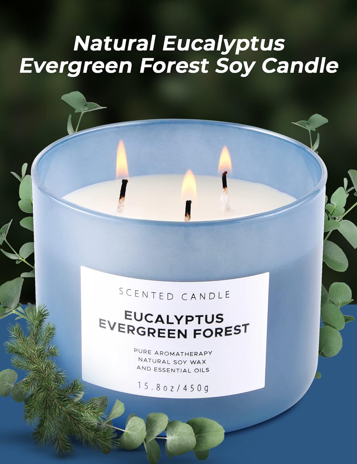 Eucalyptus Evergreen Forest 3 Wick Soy Candle 158 oz Aromatherapy