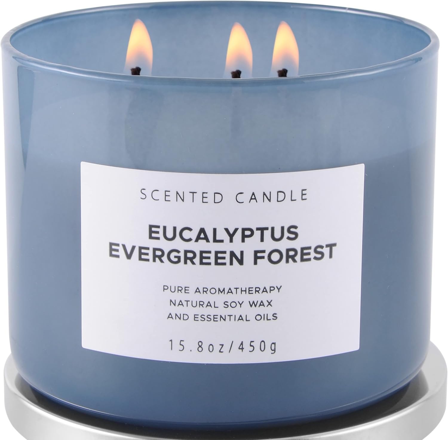 Eucalyptus Evergreen Forest 3 Wick Soy Candle 158 oz Aromatherapy