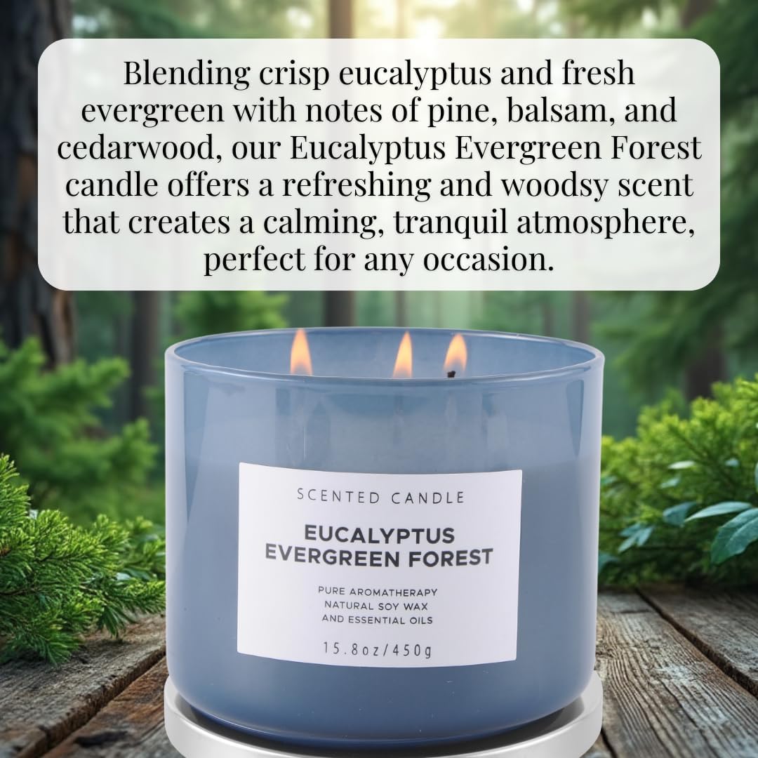 Eucalyptus Evergreen Forest 3 Wick Soy Candle 158 oz Aromatherapy