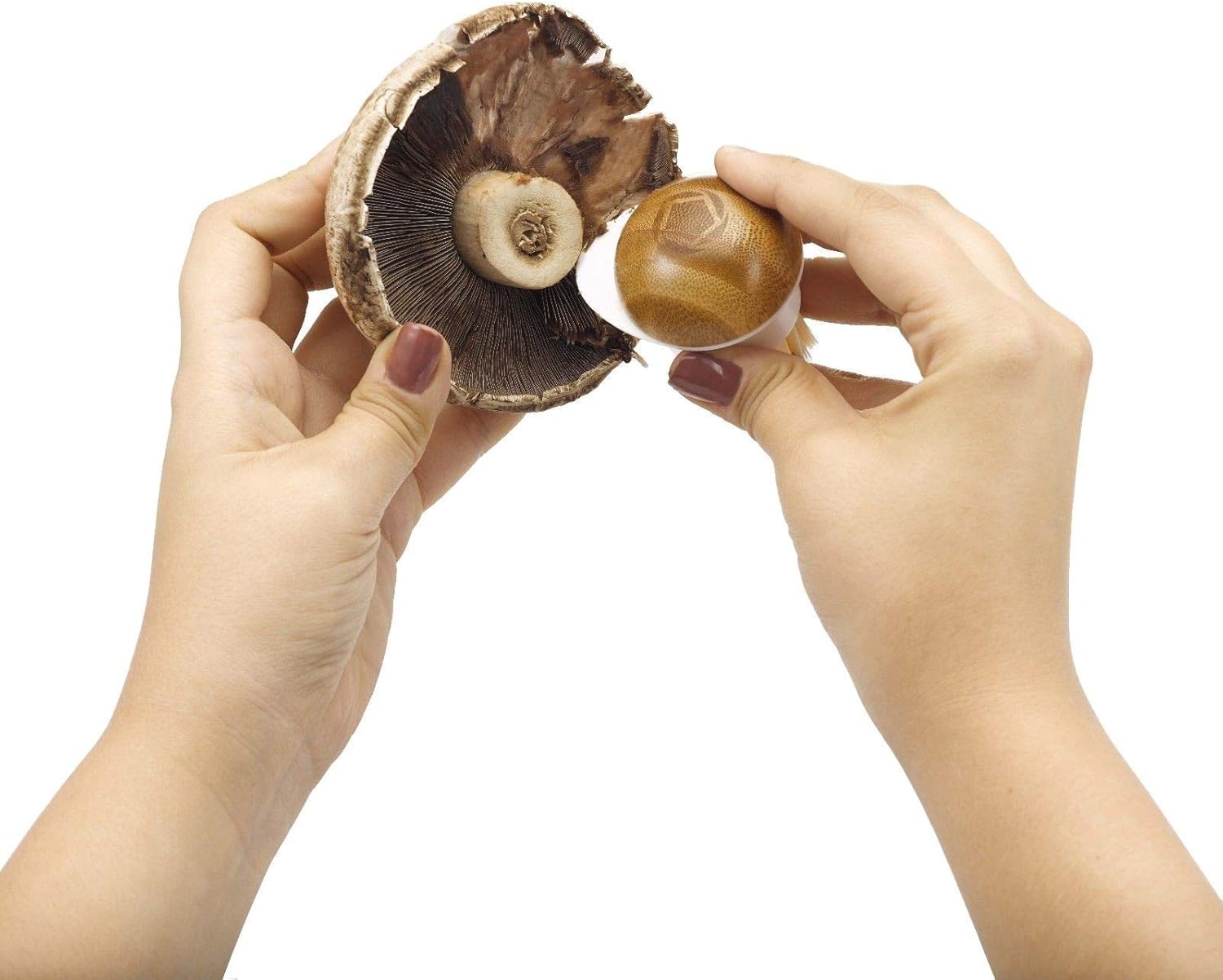 Full Circle FunGuy Mushroom Cleaning Brush 2 in 1
