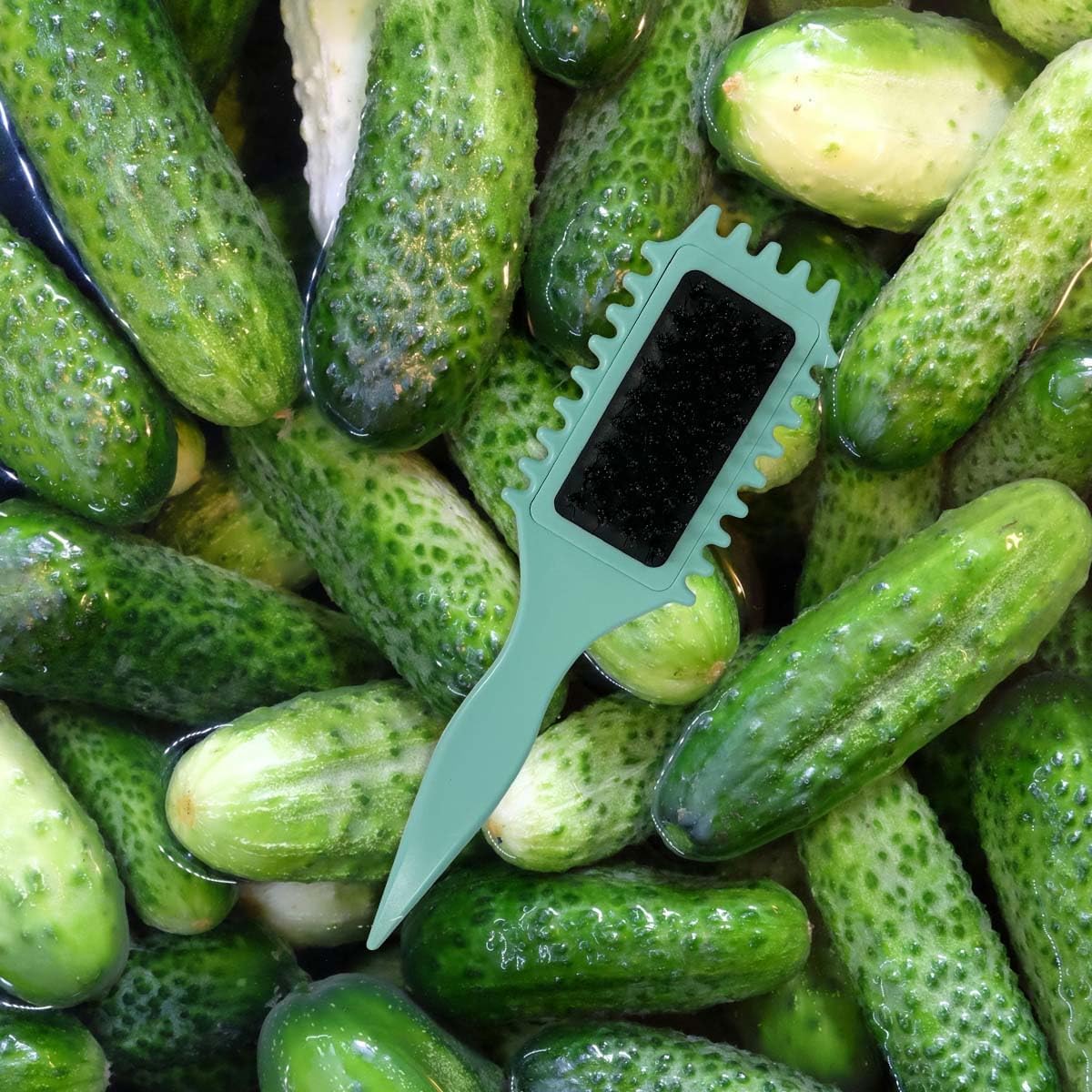 KVZVK Vegetable Cleaning Brush for Pots Pans and Fruits