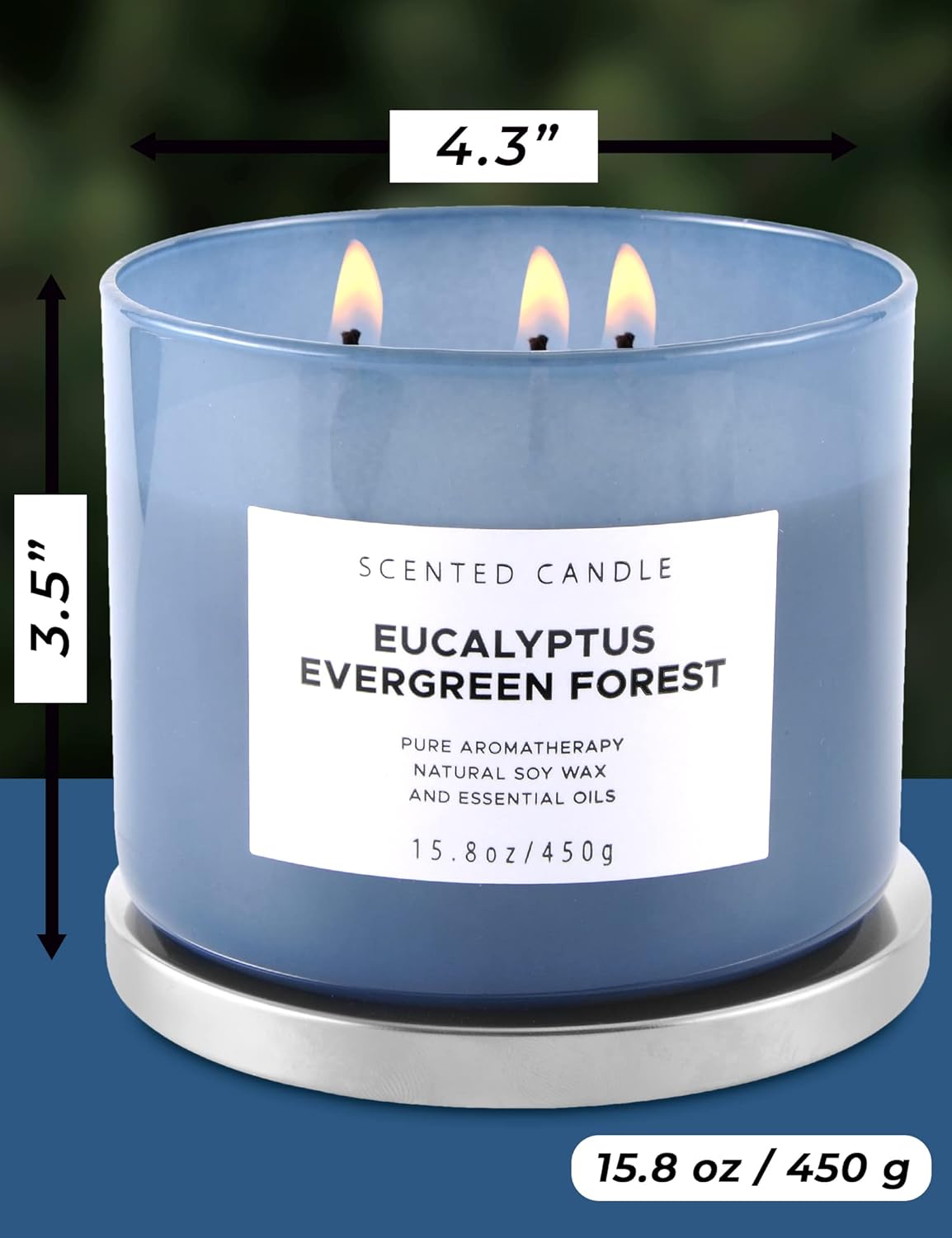 Eucalyptus Evergreen Forest 3 Wick Soy Candle 158 oz Aromatherapy