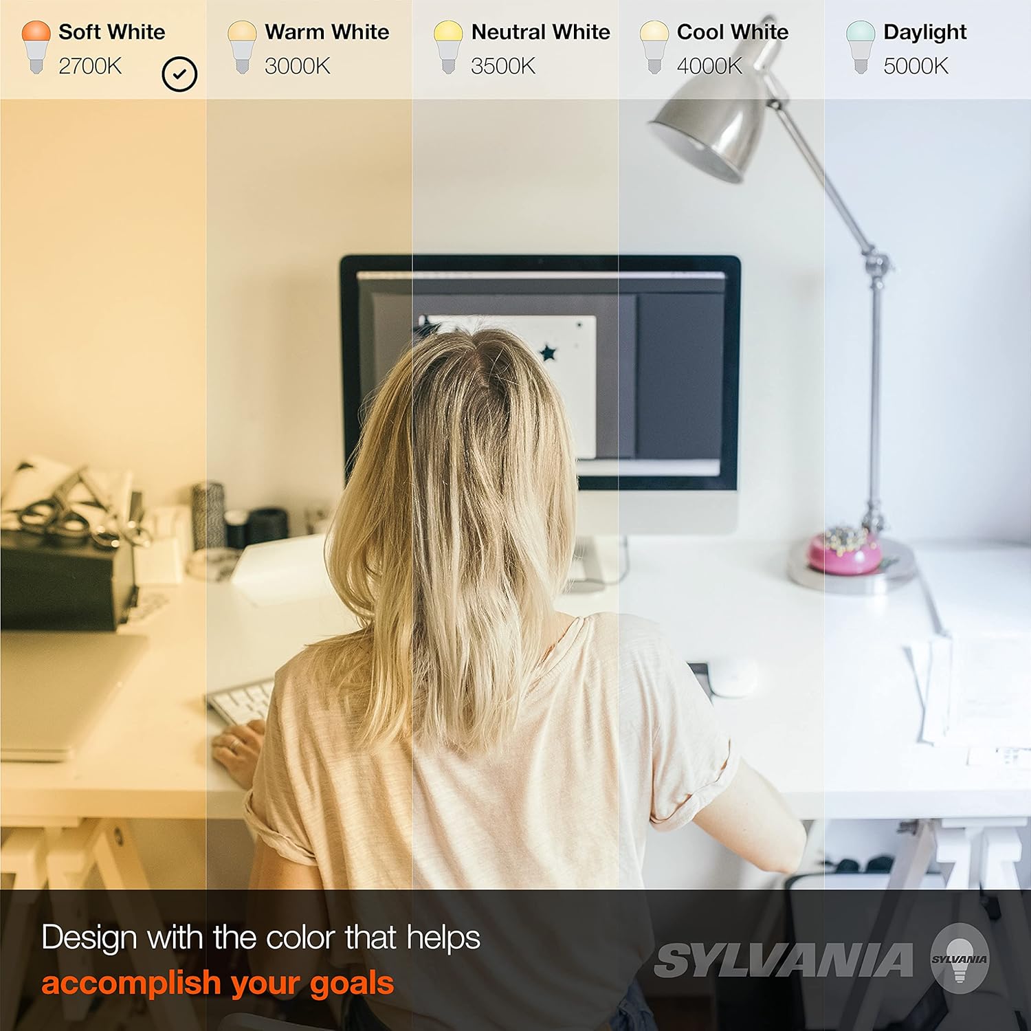 LEDVANCE SYLVANIA ECO A19 LED Bulb 6 Pack 145W 2700K