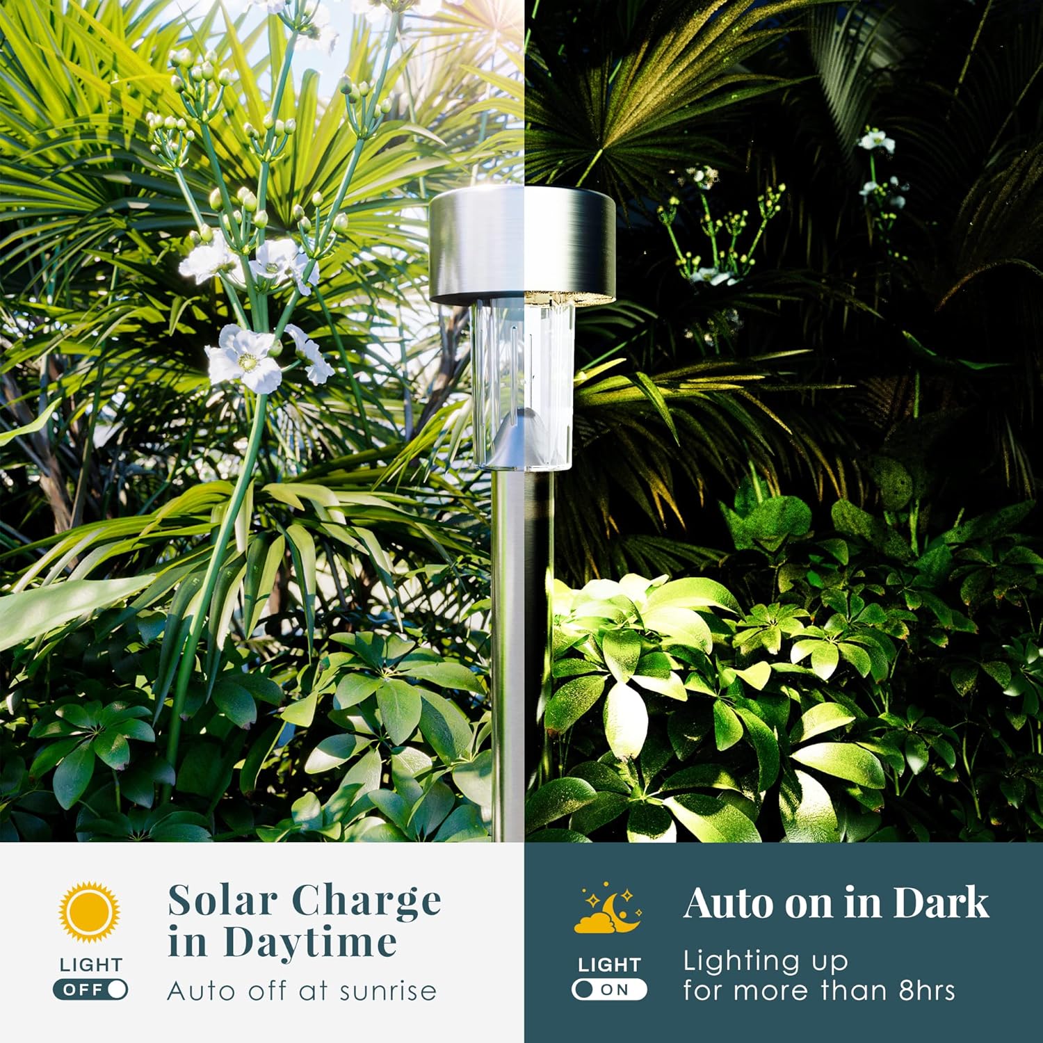 SOLPEX 16 Pack Cold White Solar Path Lights