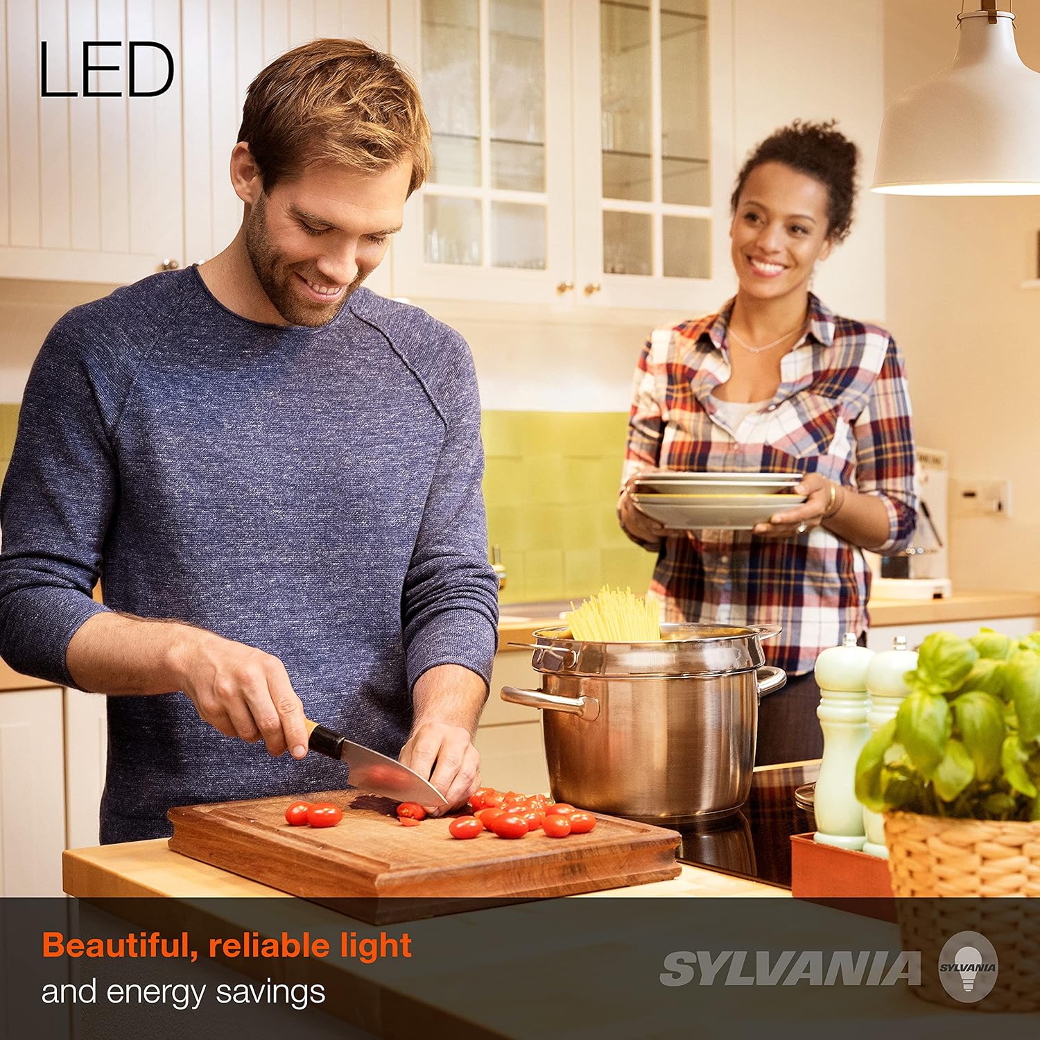 LEDVANCE SYLVANIA ECO A19 LED Bulb 6 Pack 145W 2700K